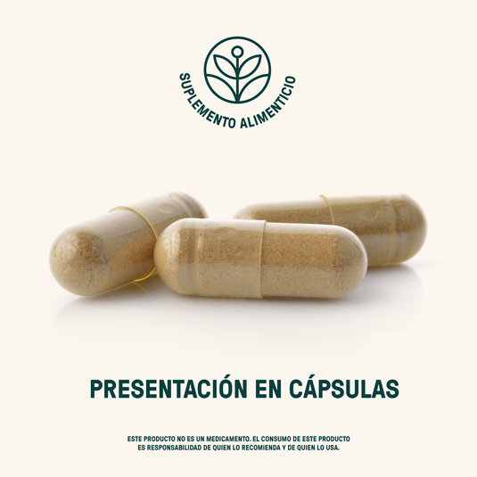 Cápsulas de suplemento alimenticio resveratrol sobre fondo claro, presentación en cápsulas.