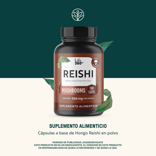 Reishi