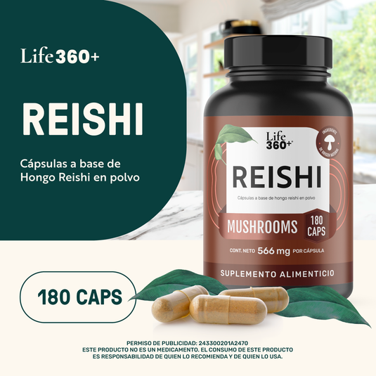 Reishi