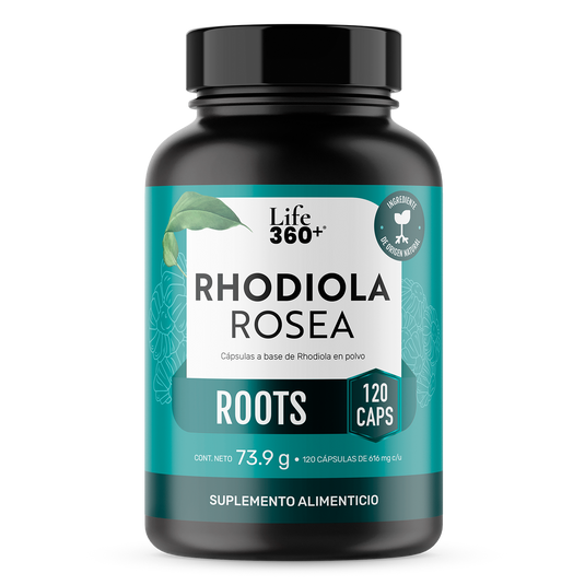Rhodiola Rosea