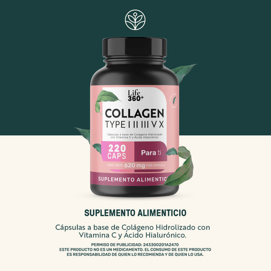 Collagen Type I, II, III, V y X