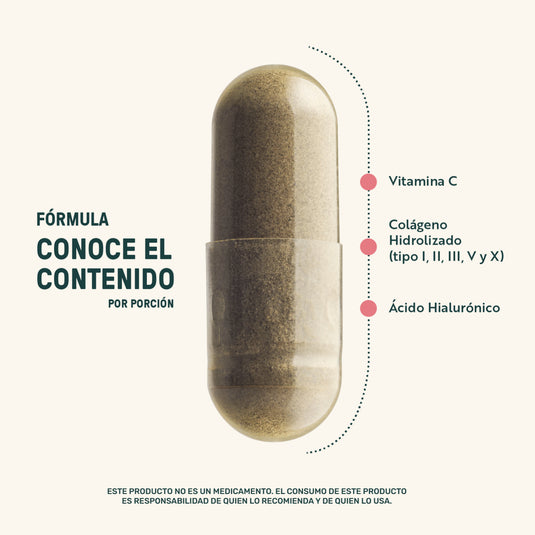 Collagen Type I, II, III, V y X