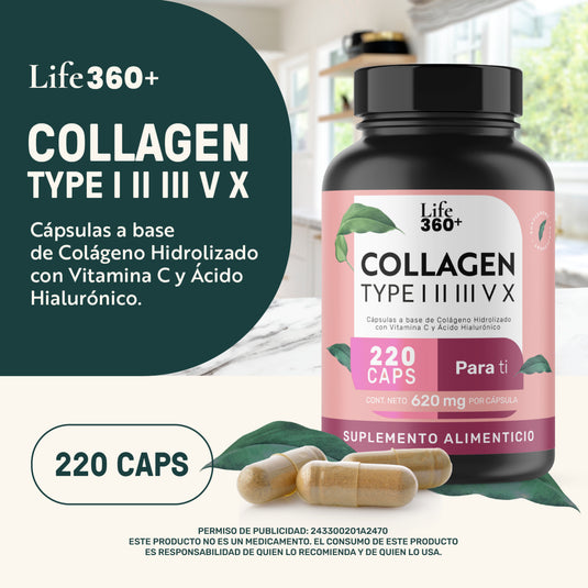 Collagen Type I, II, III, V y X