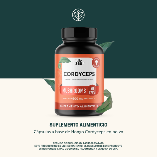 Cordyceps