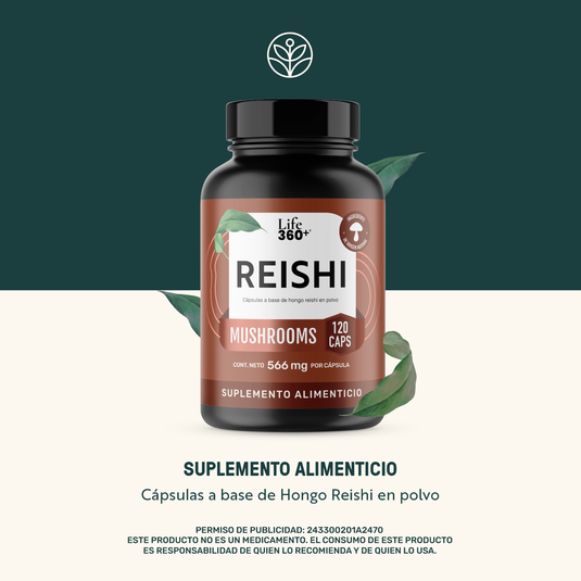 Reishi
