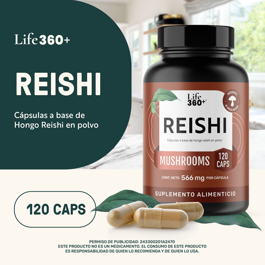 Reishi