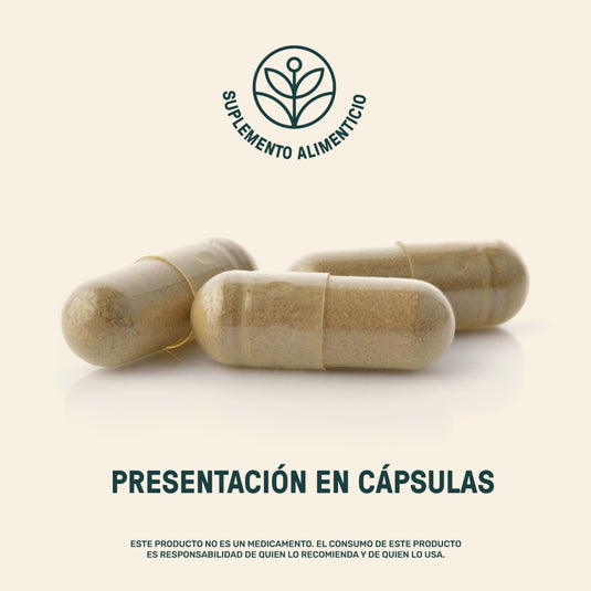 Cápsulas de suplemento alimenticio probiótico sobre fondo claro, presentación en cápsulas.