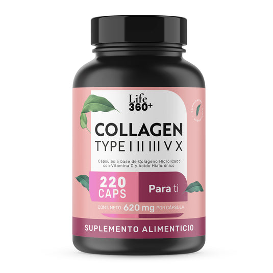 Collagen Type I, II, III, V y X