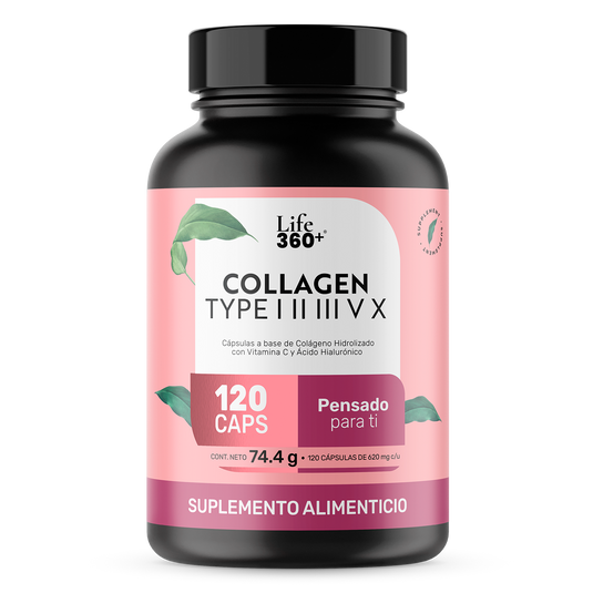 Collagen Type I, II, III, V y X